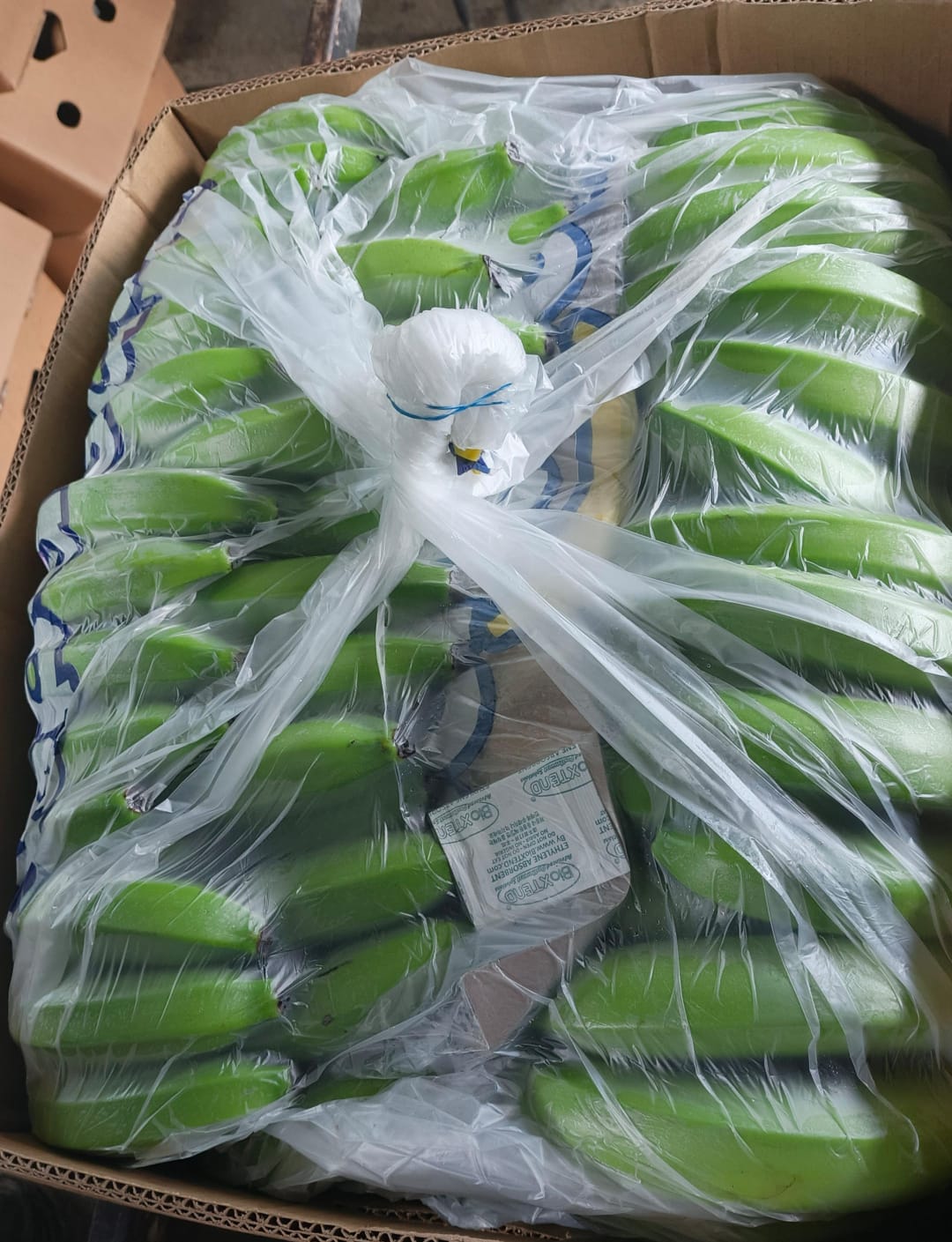 Banano empacado en caja